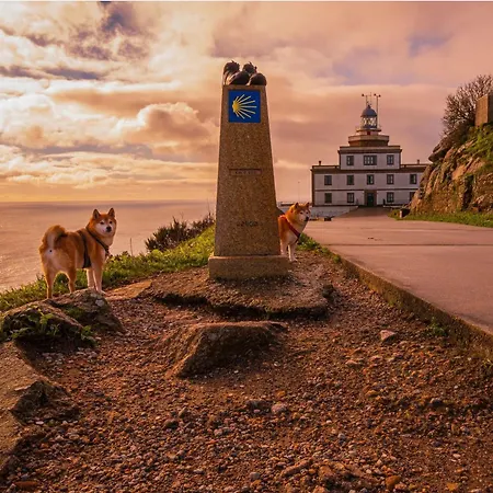 Дом отдыха Calo's Place Финистерре